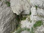 100-jährigen Treppenabschnitten der frheren Route des Flimser Klettersteig - Pinut