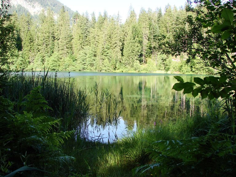 Blick auf den Crestasee