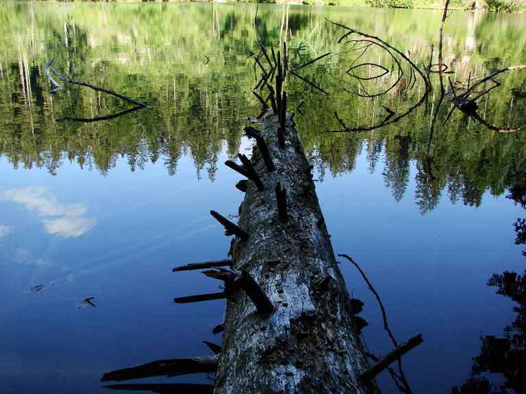 Crestasee bei Flims - Trin-Mulin
