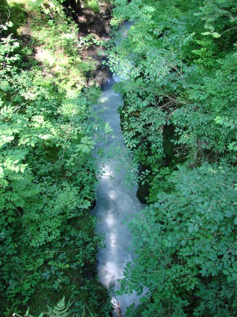Blick von der Brcke hinunter in die Felsbachschlucht der Flem