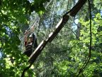 Seilpark - Outdoor-Anlage der OTA im Waldareal des Park Hotels Waldhaus