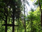 Hochseilpark in Flims - grosse Outdoor-Anlage in nchster Nher der Indoor-Halle