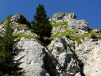 e-te Felsstufe des Pinut - historischer Klettersteig bei Flims - Fidaz