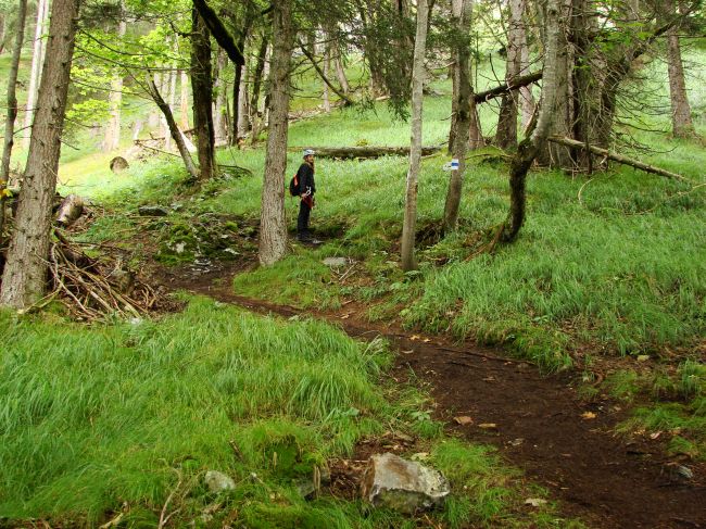 Hochwiese Pinut (Route des Klettersteig)