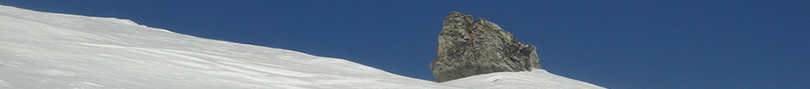 Alpenarea - Crap Sogn Gion - Flims Laax Falera - Weisse Arena
