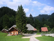 schärmtanne-beizli