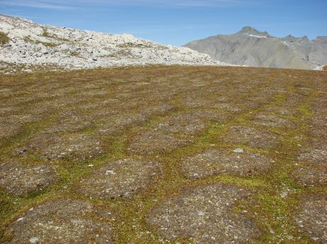 Wanderung oberhalb Flims - Gebiet Cassons