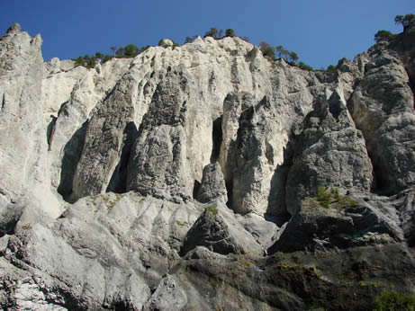 Wandern in der Rheinschlucht