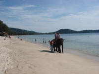 Laguna Beach Resort - Thailand - Phuket - Elefant Anna