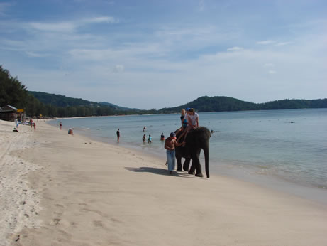 Laguna Beach Resort - Thailand - Phuket - Elefant Anna